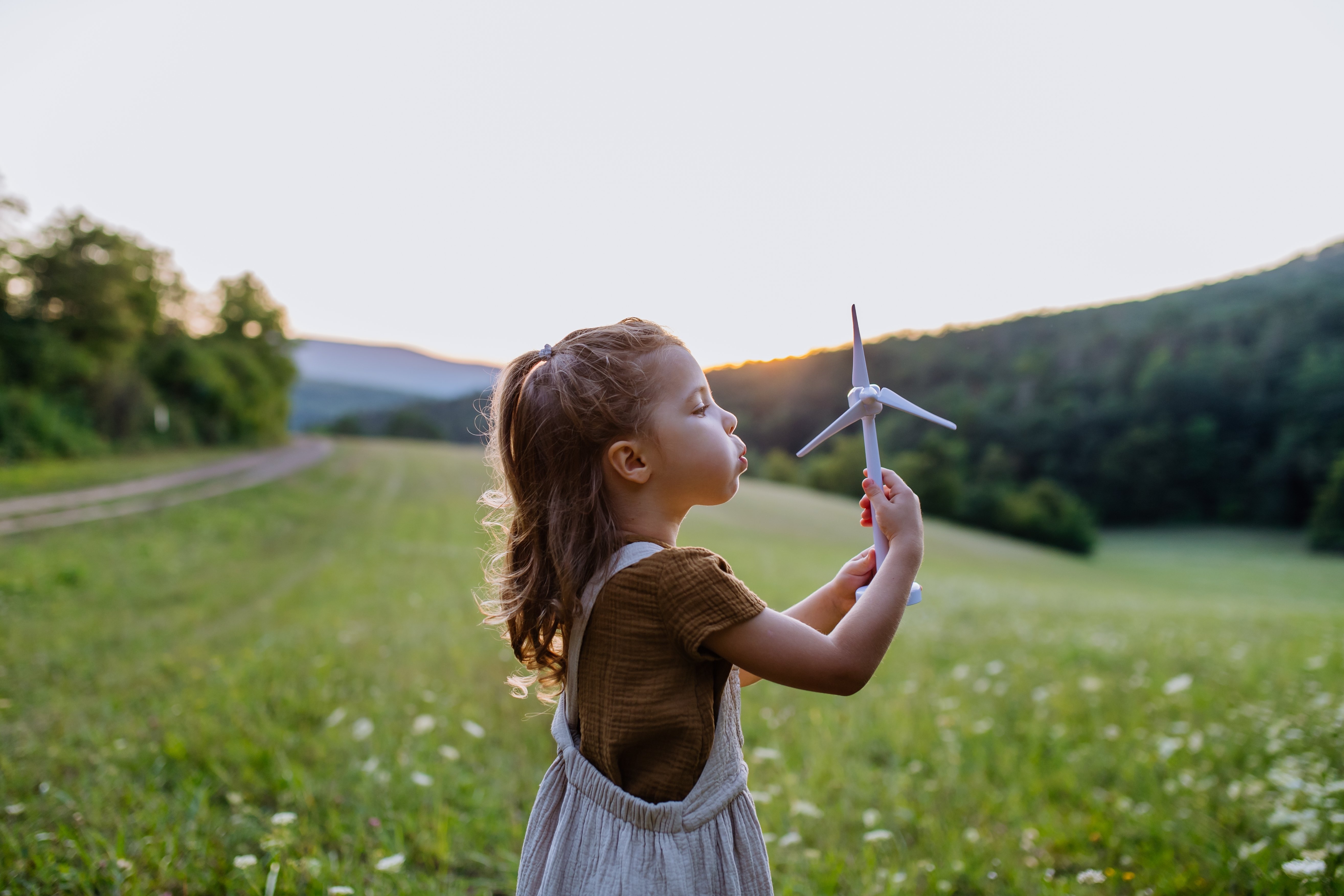 shutterstock_2193414283